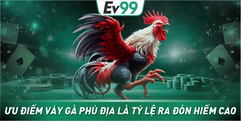 Ưu điểm vảy gà phủ địa là tỷ lệ ra đòn hiểm cao